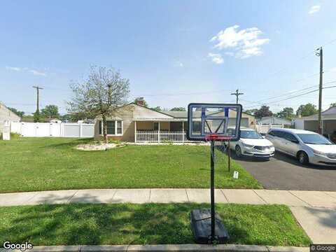 Tiger Lily, LEVITTOWN, PA 19054