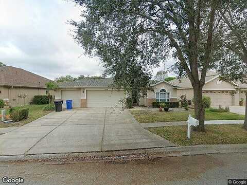 Collridge, TAMPA, FL 33647