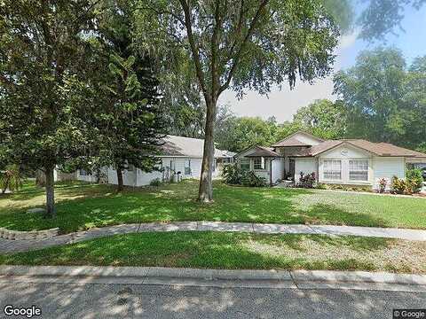 Swan Lake, LUTZ, FL 33549