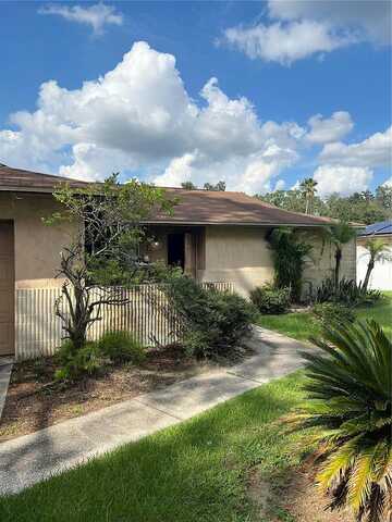 Rivendel, LUTZ, FL 33549
