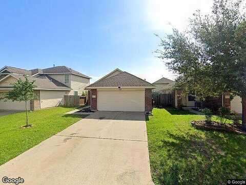 Osprey Landing, HOCKLEY, TX 77447