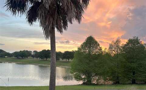 78Th Crowfield, THE VILLAGES, FL 32162