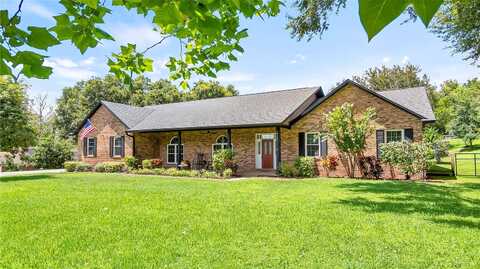 Arabian, MONTVERDE, FL 34756
