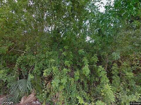 Forest, LOXAHATCHEE, FL 33470