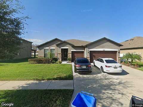 Banner Elk, VALRICO, FL 33594