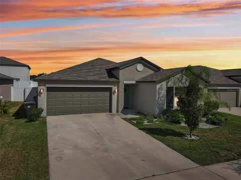 Imperial Purple, WIMAUMA, FL 33598