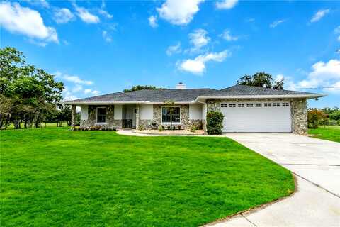 Terry, KISSIMMEE, FL 34744