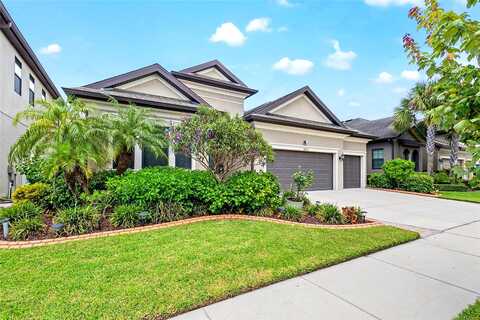 Moonstone Canyon, RIVERVIEW, FL 33579