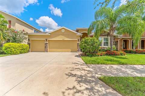 Canopy Creek, TAMPA, FL 33625