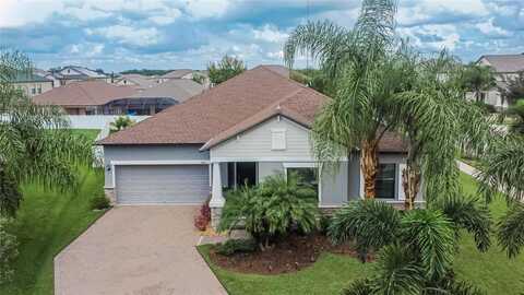 Hopi Maize, RIVERVIEW, FL 33579