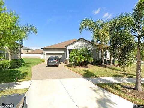 Hopi Maize, RIVERVIEW, FL 33579