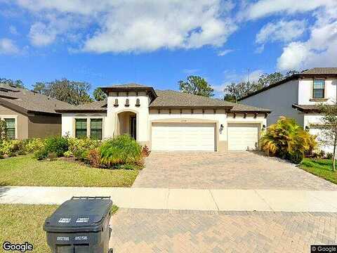Twin Bridges, RIVERVIEW, FL 33579