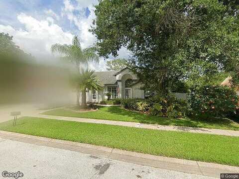 Wallingford, TAMPA, FL 33624