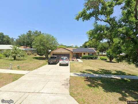 Wedgefield, GRAND ISLAND, FL 32735