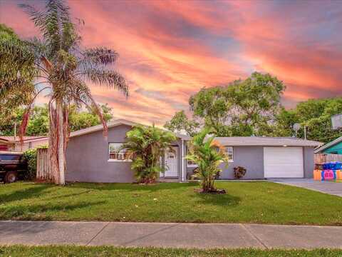 Basswood, HOLIDAY, FL 34690