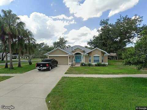 Oak Hammock, LADY LAKE, FL 32159