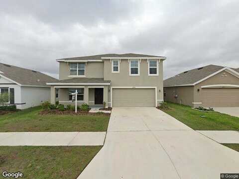 Downy Birch, RIVERVIEW, FL 33569