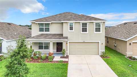Downy Birch, RIVERVIEW, FL 33569