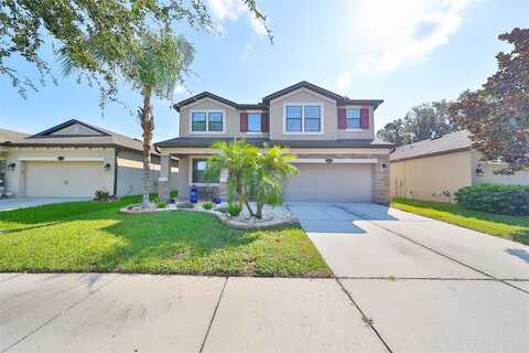 Palmetto Pine, RIVERVIEW, FL 33569
