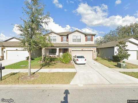 Palmetto Pine, RIVERVIEW, FL 33569