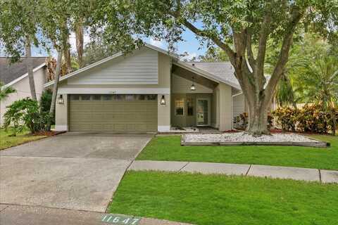 Fox Creek, TAMPA, FL 33635