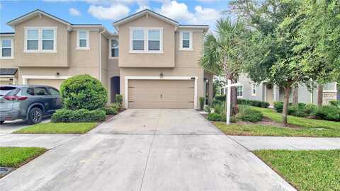 Cambium Crown, RIVERVIEW, FL 33569