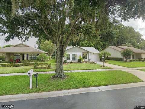 Pampas, NEW PORT RICHEY, FL 34654