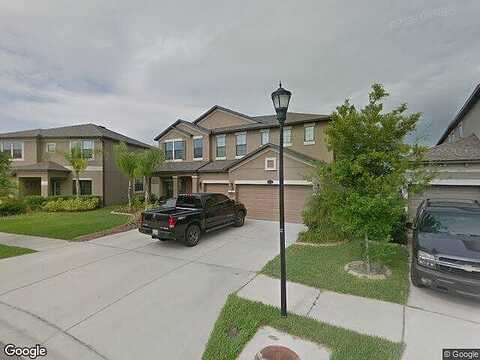Palmetto Pine, RIVERVIEW, FL 33569