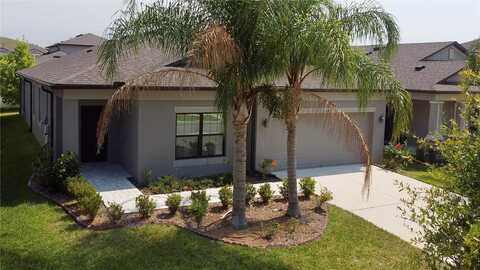 Amapola Bloom, RIVERVIEW, FL 33579