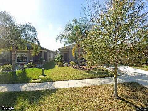 Amapola Bloom, RIVERVIEW, FL 33579