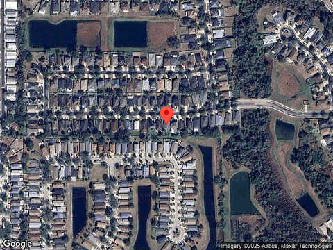 Irish Moss, RIVERVIEW, FL 33569