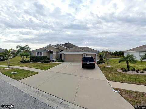 Australian Pine, RIVERVIEW, FL 33579