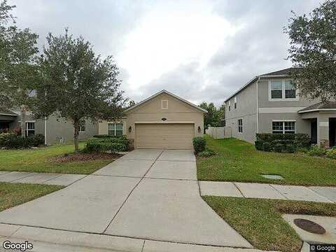 Pictorial Park, TAMPA, FL 33647
