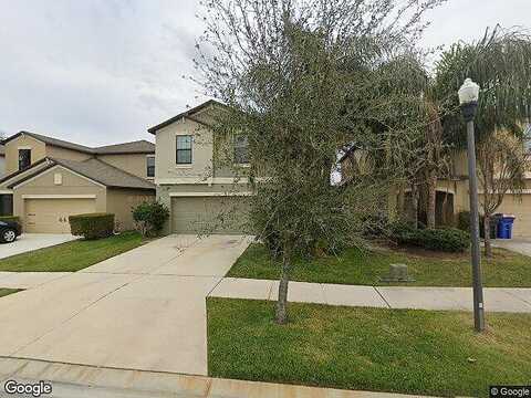 Rose Petal, RIVERVIEW, FL 33578