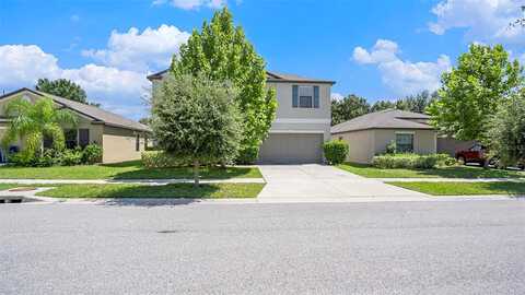 Carloway Hills, WIMAUMA, FL 33598