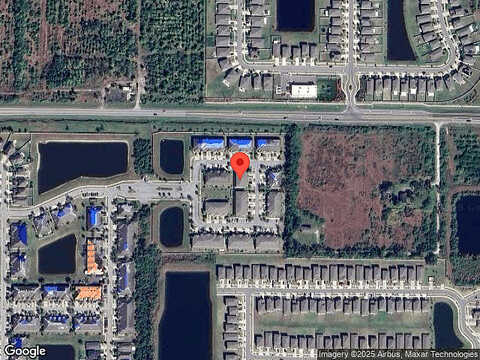 Ivory Goose, RUSKIN, FL 33570