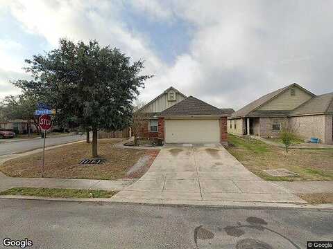 Limpkin, SAN ANTONIO, TX 78245