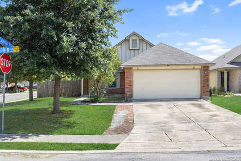 Limpkin, SAN ANTONIO, TX 78245