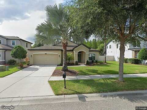 Bluevine Sky, LAND O LAKES, FL 34637