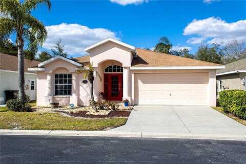Fashion, NEW PORT RICHEY, FL 34654