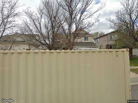 Goshawk, BRIGHTON, CO 80601