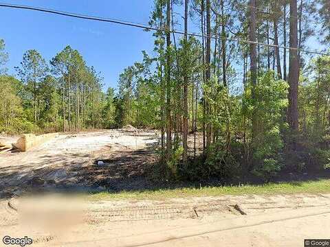 Camellia, MIDDLEBURG, FL 32068