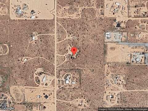 Condalia, YUCCA VALLEY, CA 92284