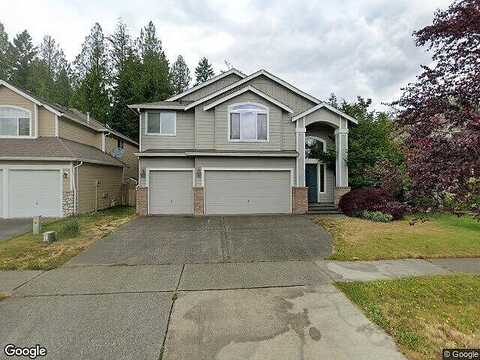 Lady Fern, OLYMPIA, WA 98502