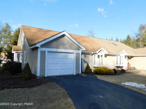 Turtle, STROUDSBURG, PA 18360