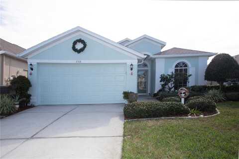Grey Dove, HOLIDAY, FL 34691