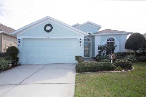 Grey Dove, HOLIDAY, FL 34691