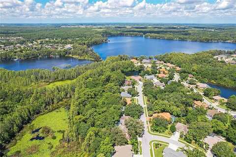 Preservation, LAND O LAKES, FL 34638