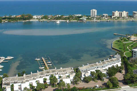 Scrimshaw, TEQUESTA, FL 33469