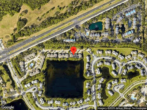 Grey Widgeon, DAYTONA BEACH, FL 32119